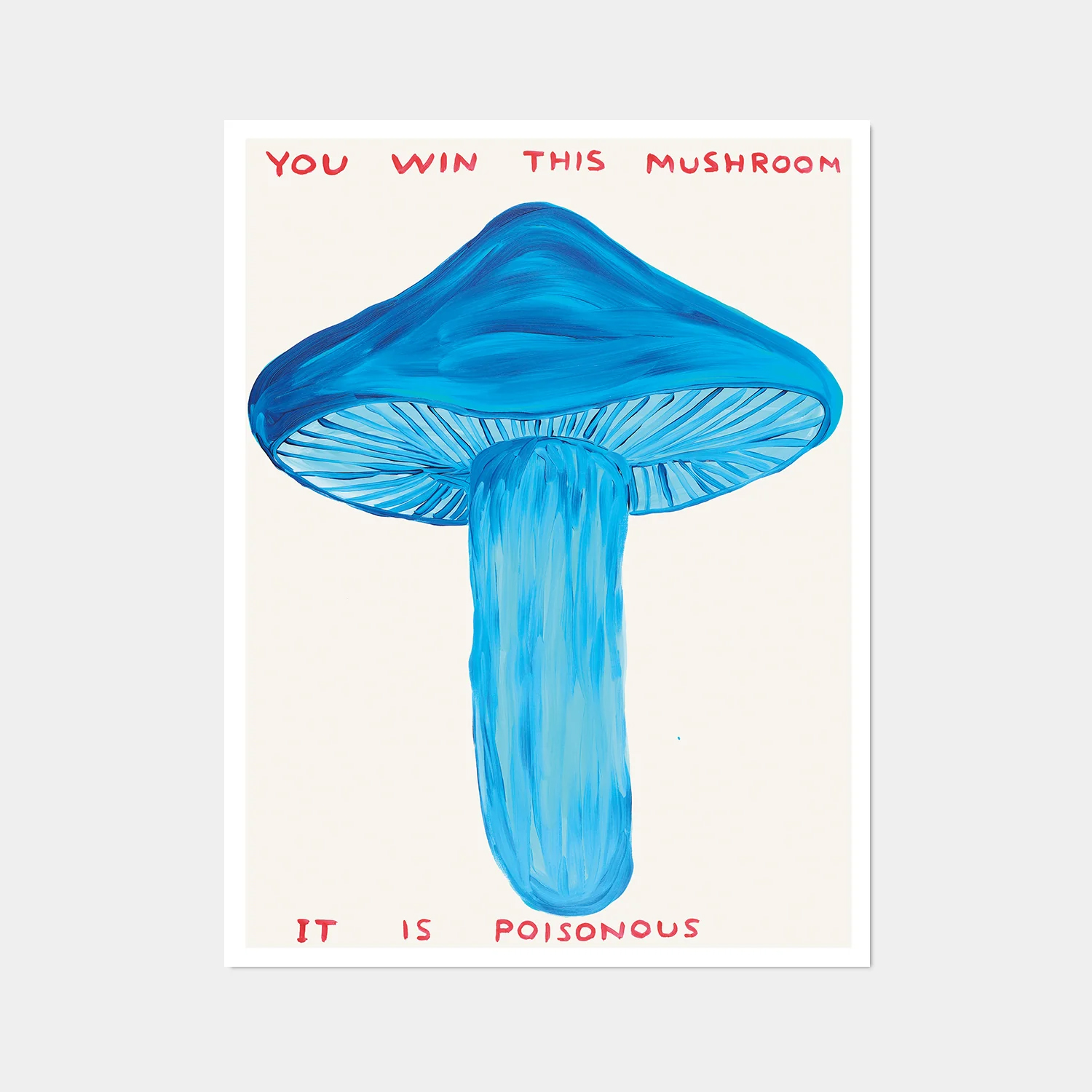 David Shrigley|you win this mushroom (你贏得這個蘑菇) — 照片 1