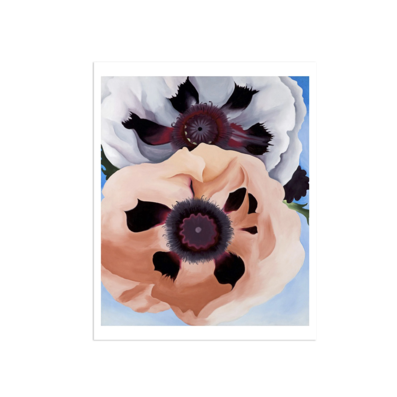 歐姬芙 Georgia O'Keeffe|罌粟花 poppies — 照片 1