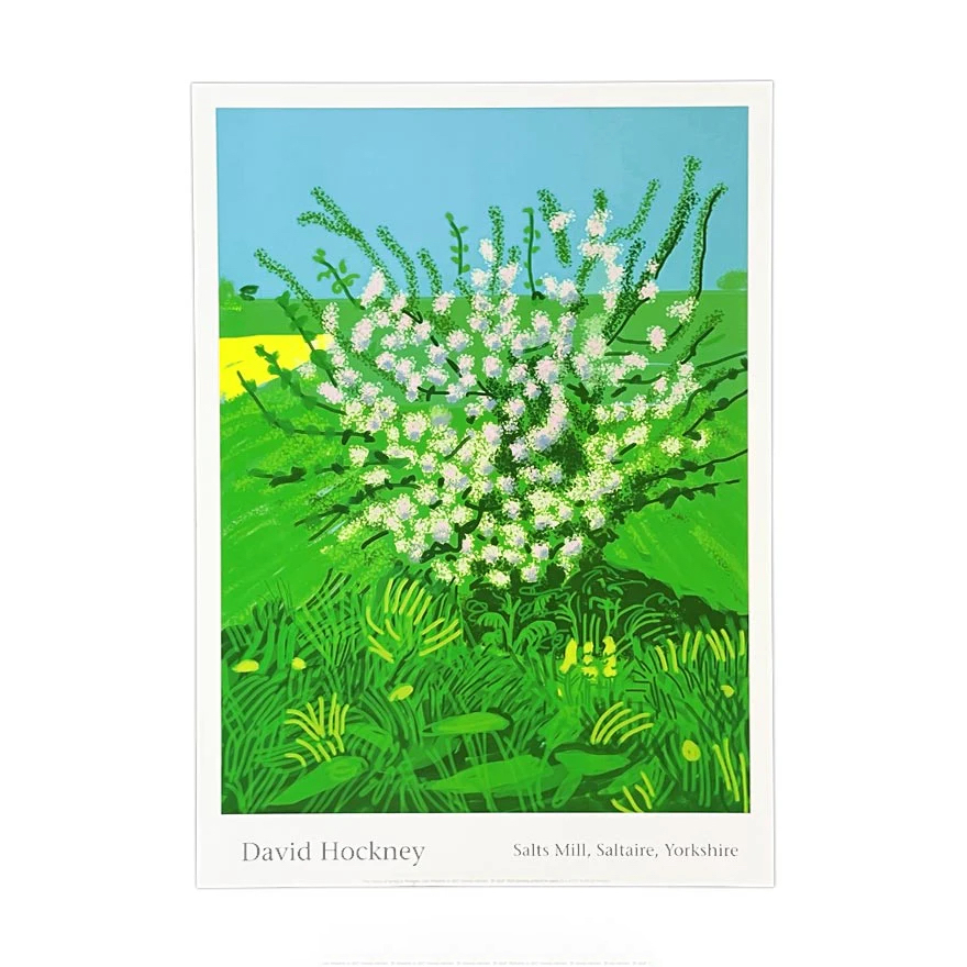 David Hockney|30th April 2011 (The Arrival of Spring) — 照片 1