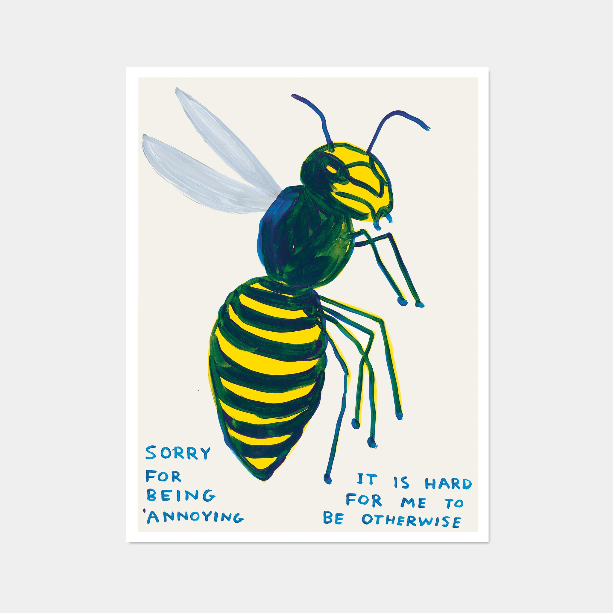 David Shrigley|sorry for being annoying (對不起,我煩人了) — 照片 1