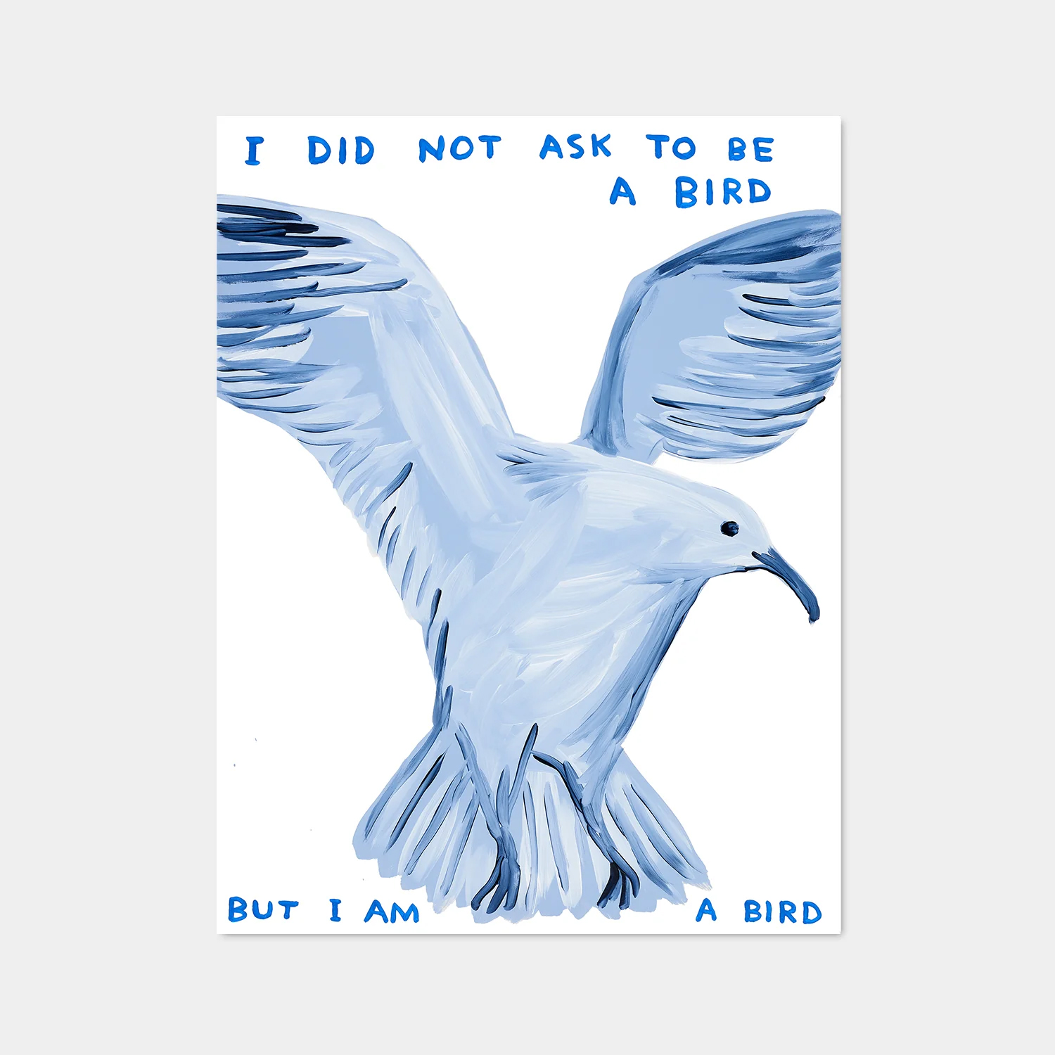 David Shrigley|I Did Not Ask To Be a Bird (我沒有要求成為一隻鳥) — 照片 1