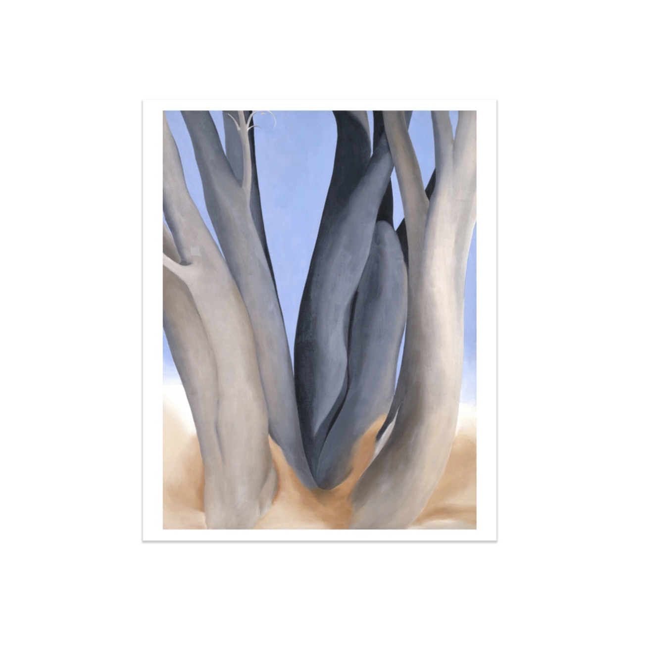 歐姬芙 Georgia O'Keeffe|黑色的樹幹 Dark Tree Trunks — 照片 1