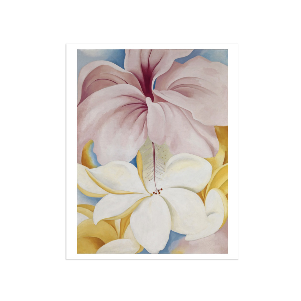 歐姬芙 Georgia O'Keeffe|芙蓉雞蛋花 Hibiscus with Plumeria — 照片 1