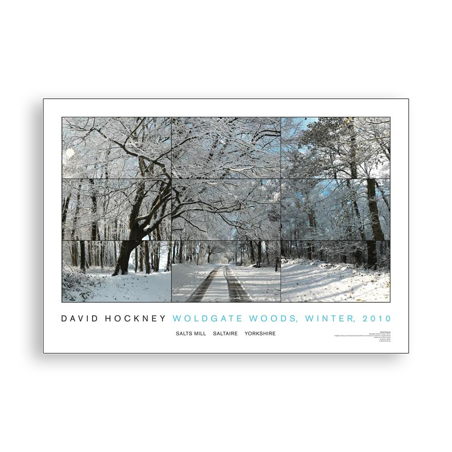 Woldgate Woods, Winter, 2010 — Photo 1