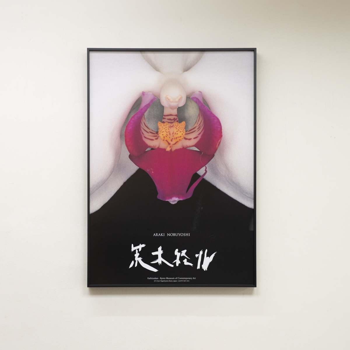 荒木經惟 Araki|花曲 — 照片 1