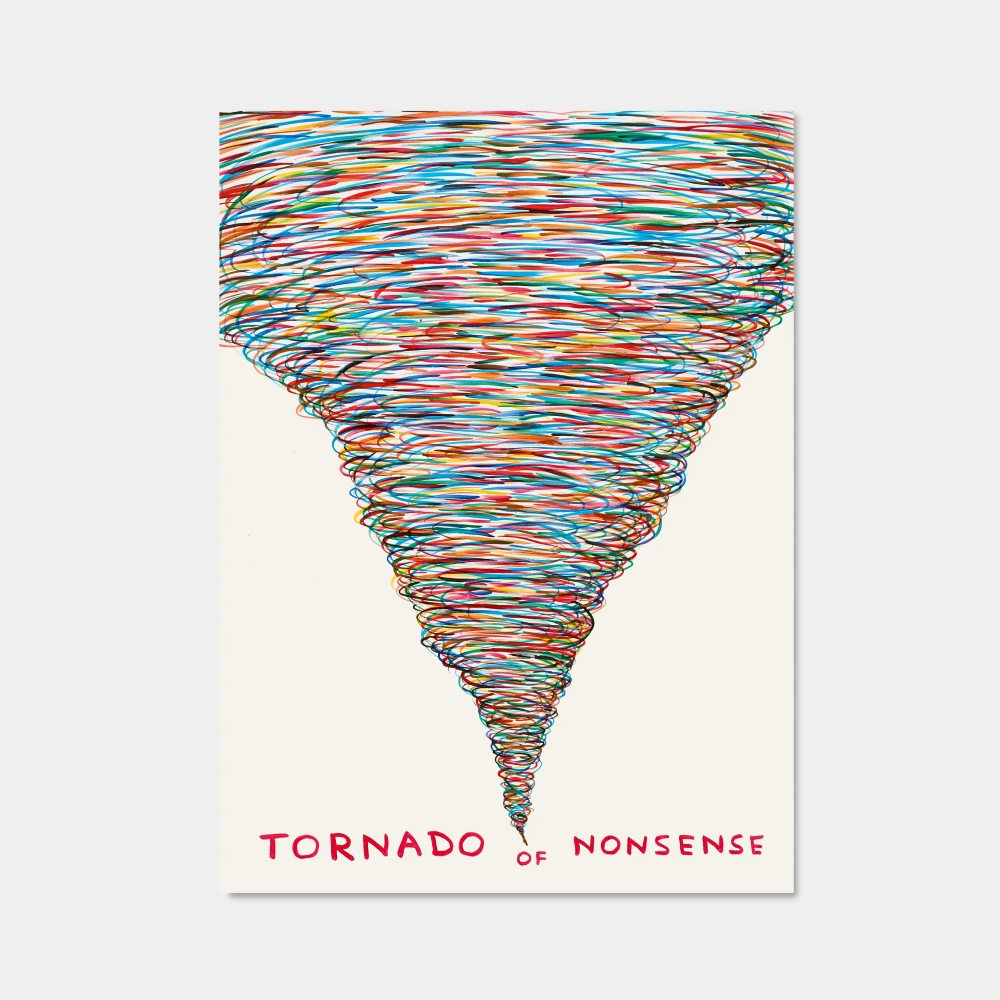 David Shrigley|tornado of nonsense (無意義的龍捲風) — 照片 1