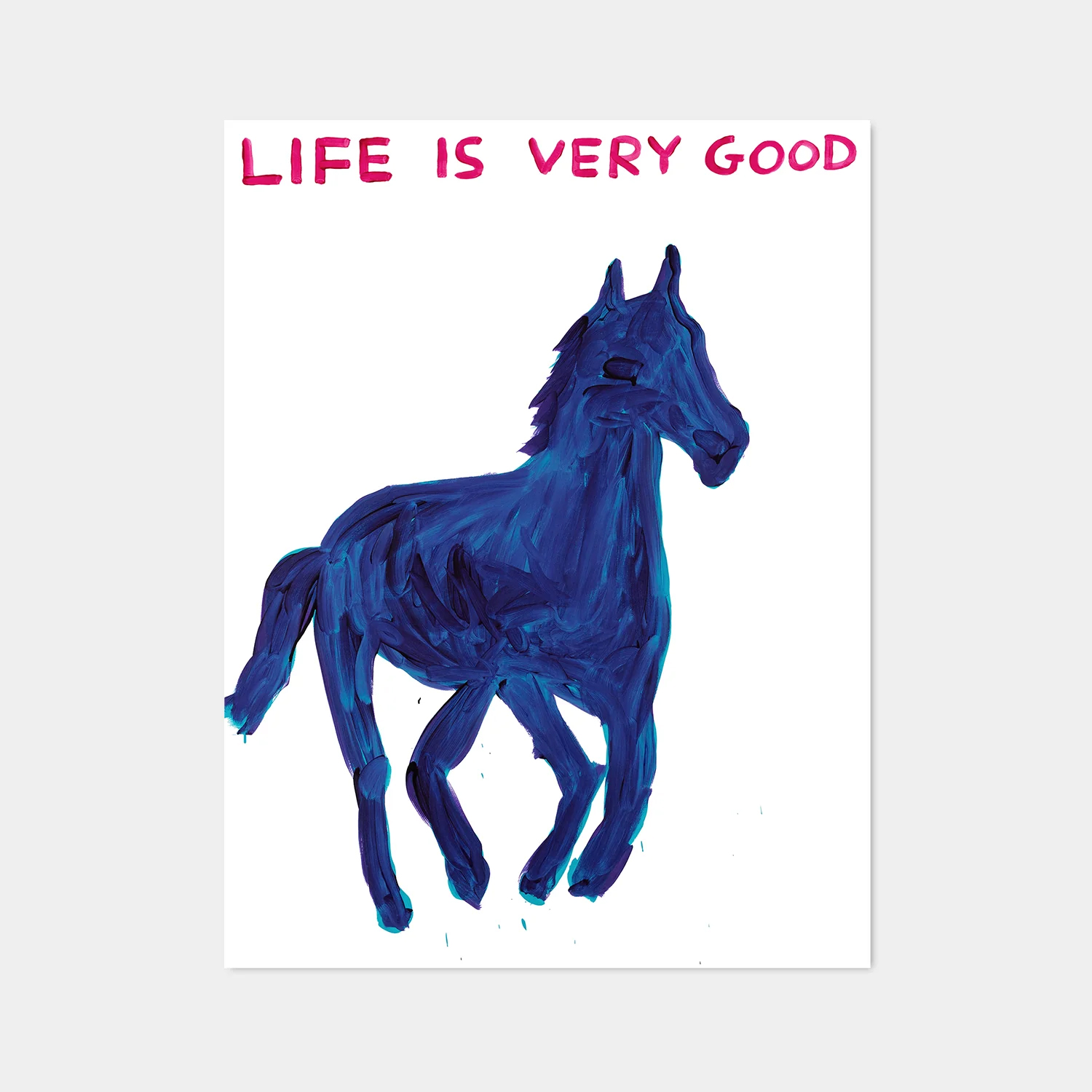 David Shrigley|Life is Very Good (生活美好) — 照片 1