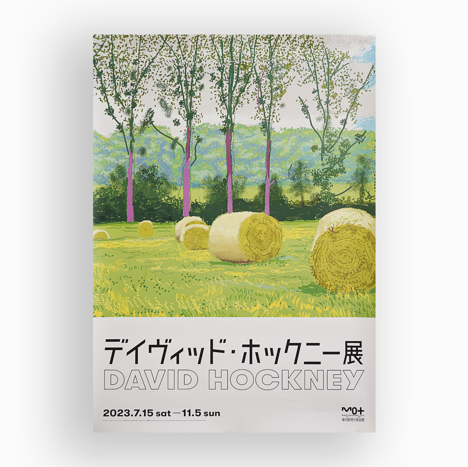 David Hockney|Hay Bales Detail 稻草堆細節 (B2) — 照片 1