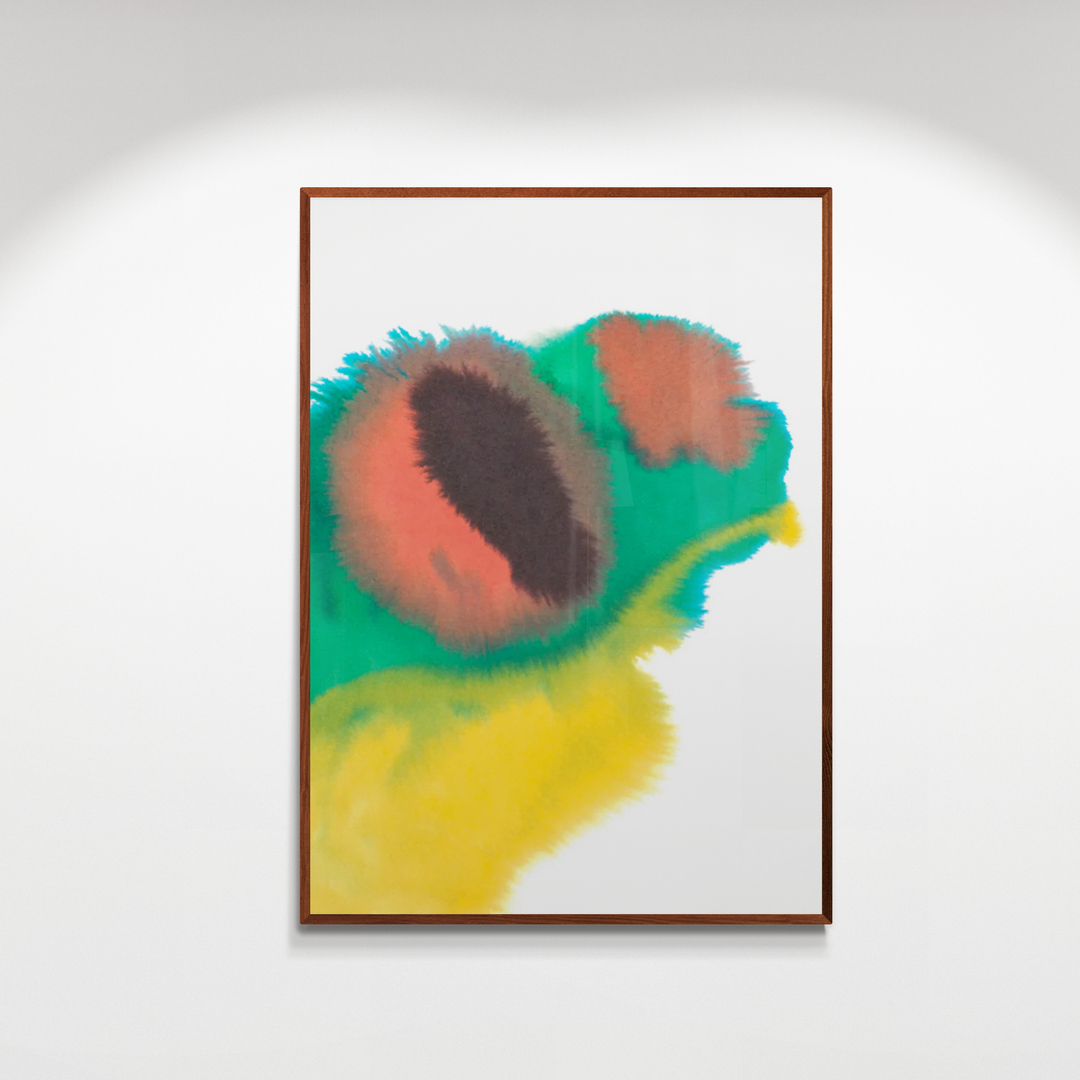 Frog — Photo 1