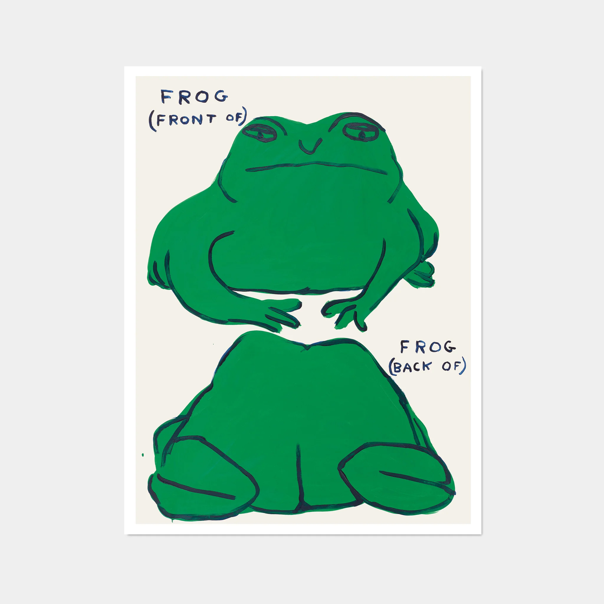 David Shrigley|Frog (Front Of), Frog (Back Of) (青蛙(正面),青蛙(背面)) — 照片 1