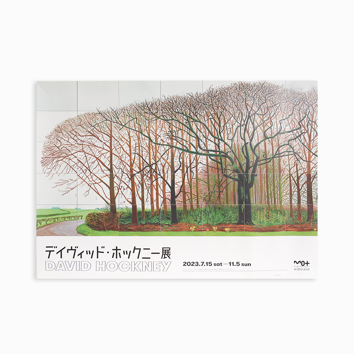 David Hockney|Bigger Trees Near Warter (B3) — 照片 1