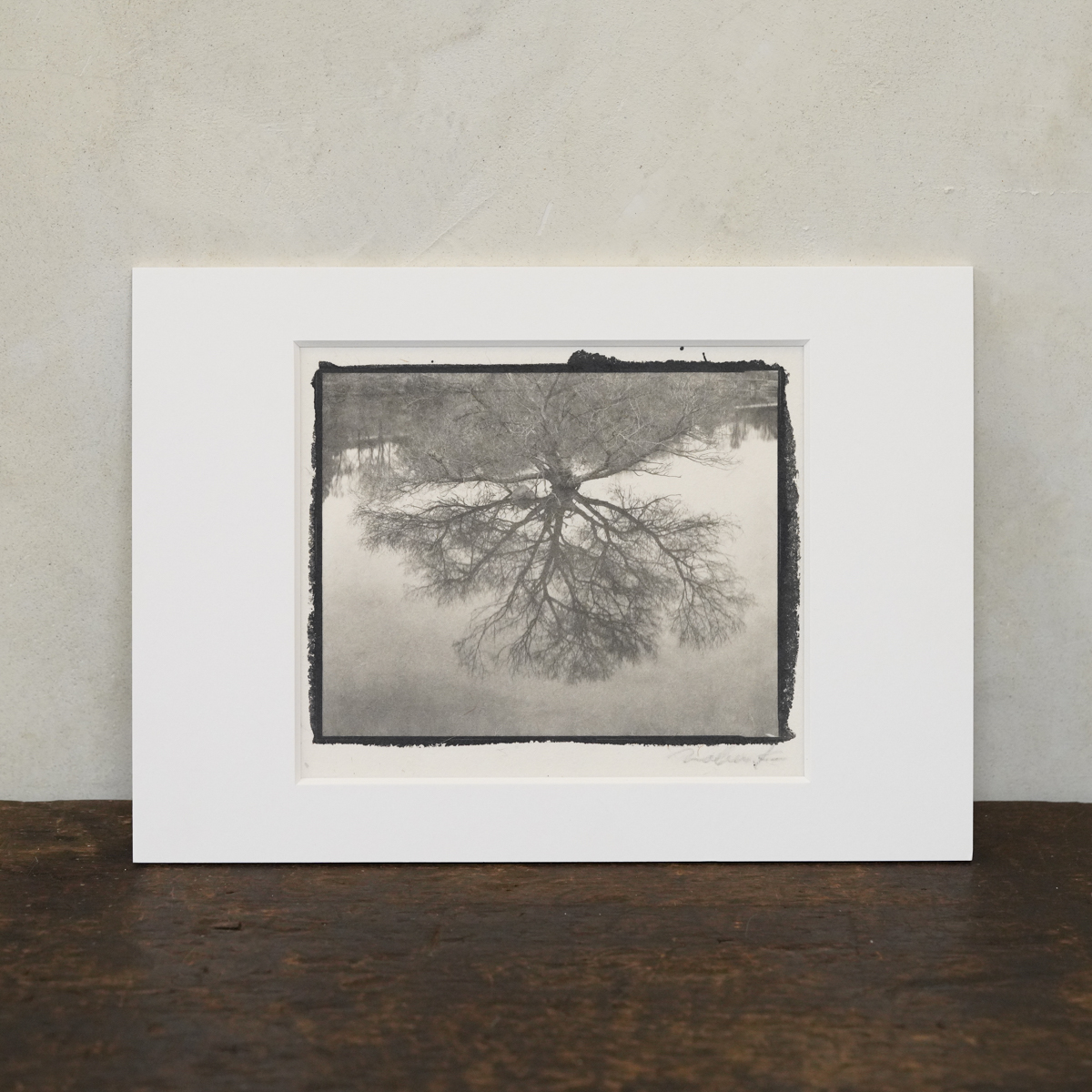 Nobuyuki Kobayashi | little universe — Photo 1