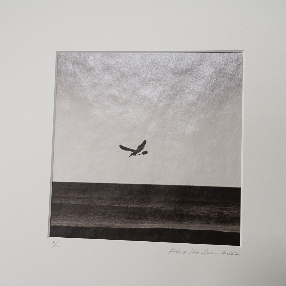 Flight #8 by Kino Koike, a vertical limited-edition artwork featuring natural landscapes and photographic and realistic imagery, in black and white and grey tones.