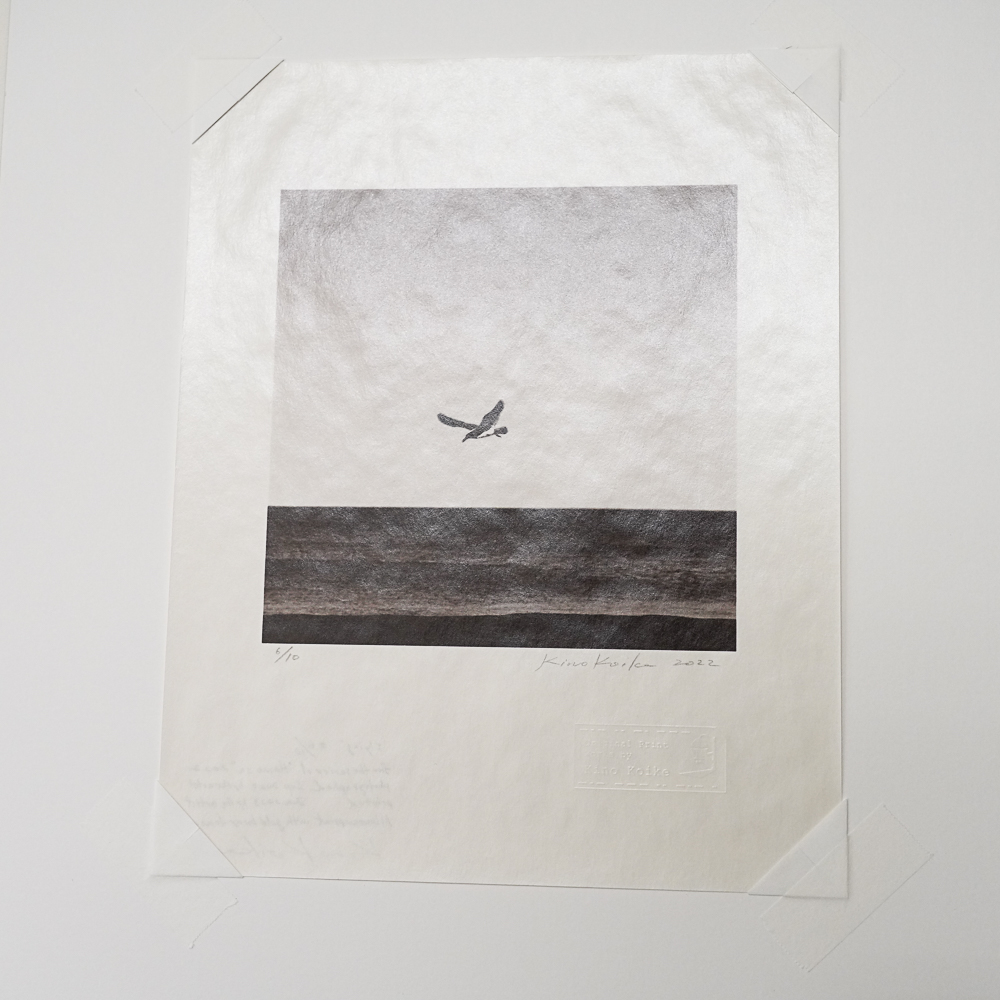 Flight #8 by Kino Koike, a vertical limited-edition artwork featuring natural landscapes and photographic and realistic imagery, in black and white and grey tones.