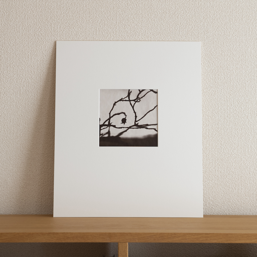 Hamanasu (Rugosa Rose) #3 by Kino Koike, a vertical limited-edition artwork featuring thorny branches and a hanging rose hip, in black and white and grey tones.