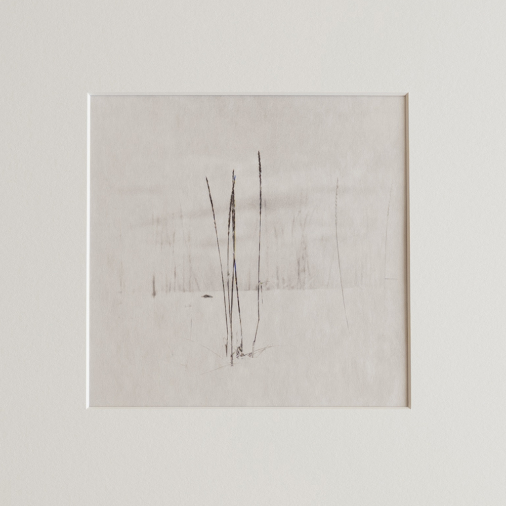 Dead grass on the snow #9 by Kino Koike, a vertical limited-edition artwork featuring natural landscapes and photographic and realistic imagery, in black and white tones.