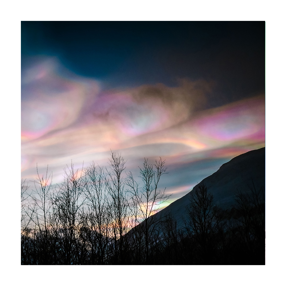 Fire Rainbow and Tree — Photo 1
