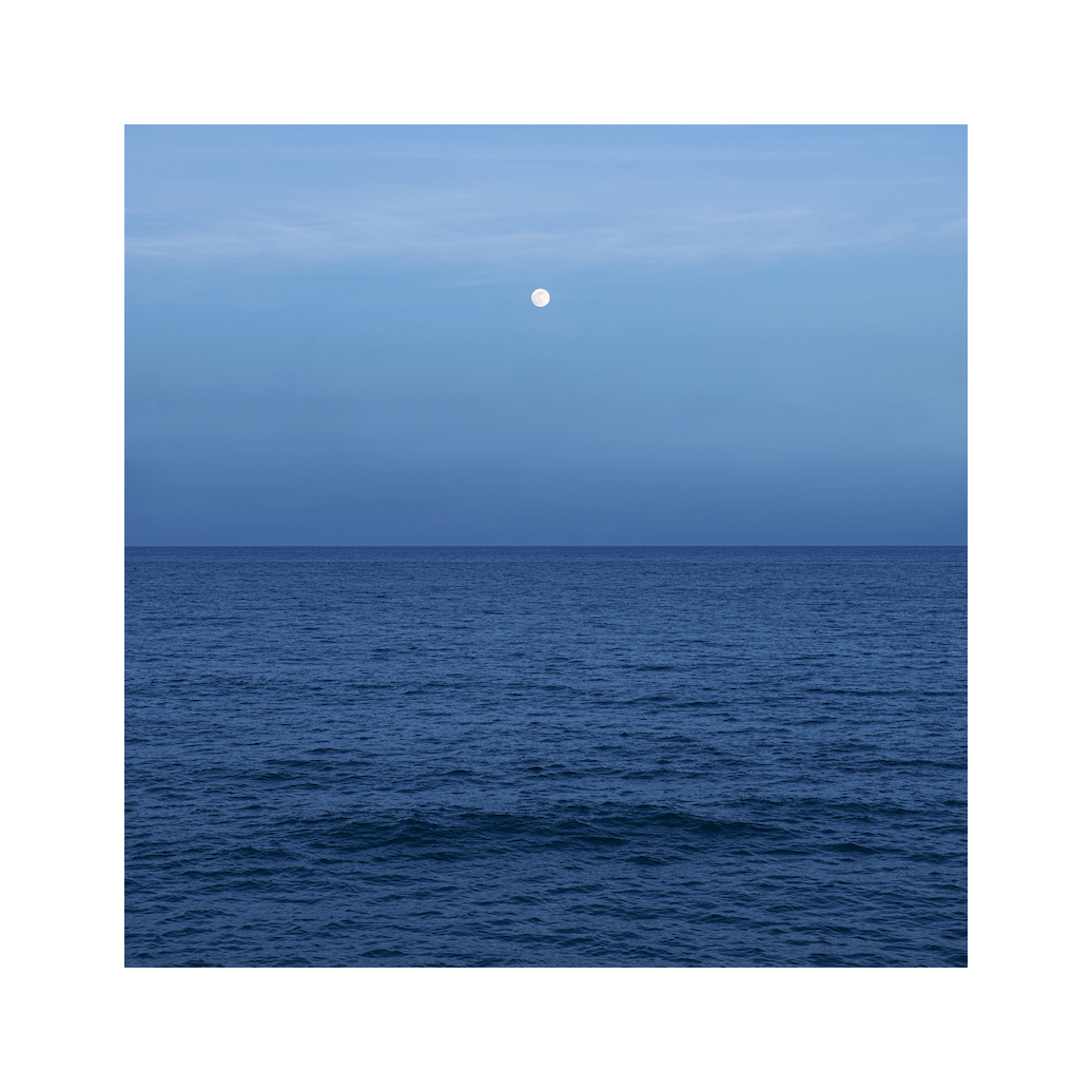 See Sea | The appearance of freedom — Photo 1