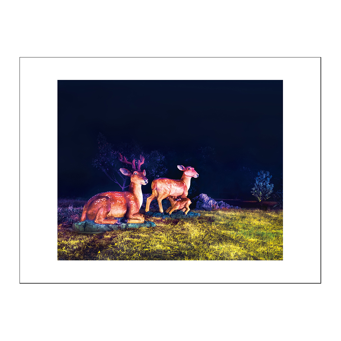 Luermen Deer by Peng Yihang, a horizontal limited-edition artwork featuring animals and photographic and realistic imagery, in black and white and blue tones.