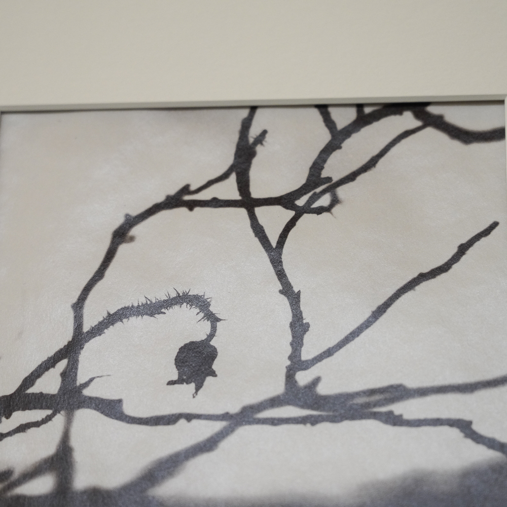 Hamanasu (Rugosa Rose) #3 by Kino Koike, a vertical limited-edition artwork featuring thorny branches and a hanging rose hip, in black and white and grey tones.