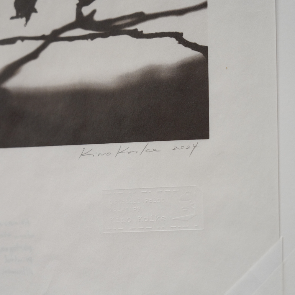 Hamanasu (Rugosa Rose) #3 by Kino Koike, a vertical limited-edition artwork featuring thorny branches and a hanging rose hip, in black and white and grey tones.
