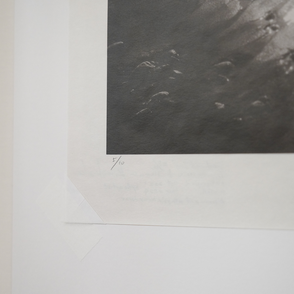 Sand and Sun #6 by Kino Koike, a vertical limited-edition artwork featuring natural landscapes and photographic and realistic imagery, in black and white and grey tones.