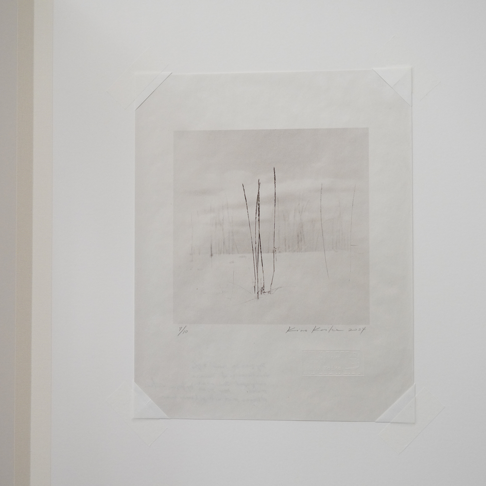 Dead grass on the snow #9 by Kino Koike, a vertical limited-edition artwork featuring natural landscapes and photographic and realistic imagery, in black and white tones.