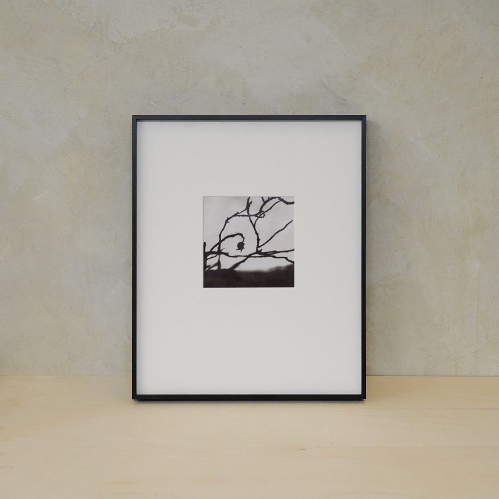 Hamanasu (Rugosa Rose) #3 by Kino Koike, a vertical limited-edition artwork featuring thorny branches and a hanging rose hip, in black and white and grey tones.