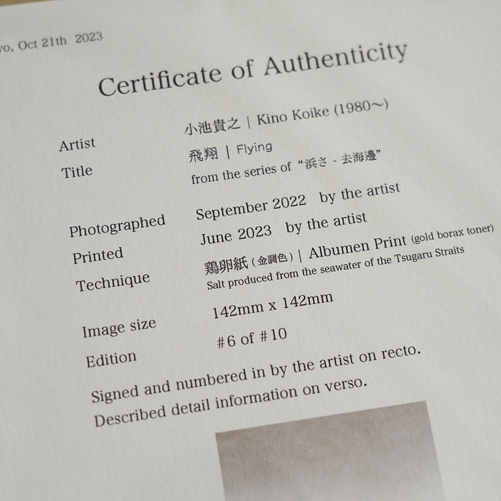 Flight #8 by Kino Koike, a vertical limited-edition artwork featuring natural landscapes and photographic and realistic imagery, in black and white and grey tones.