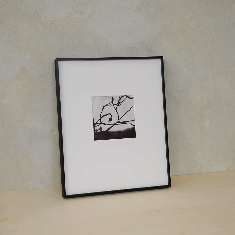 Hamanasu (Rugosa Rose) #3 by Kino Koike, a vertical limited-edition artwork featuring thorny branches and a hanging rose hip, in black and white and grey tones.