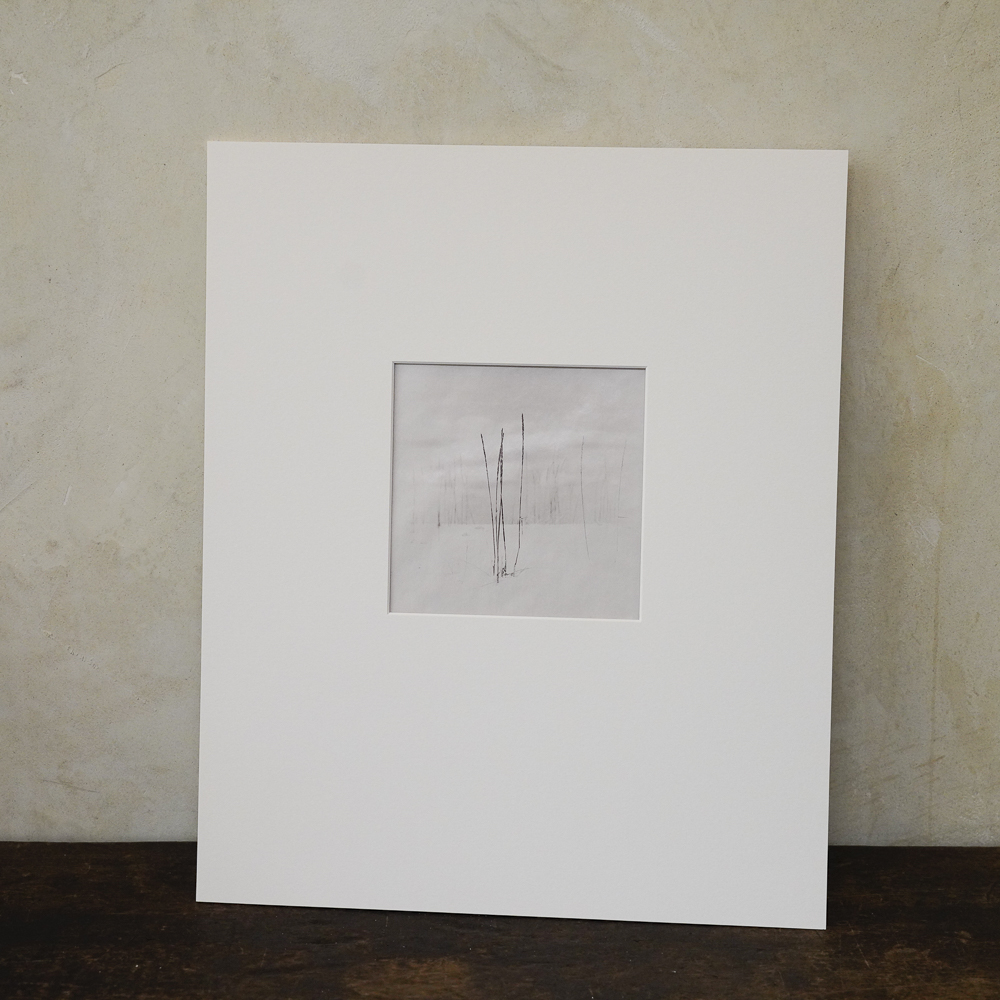 Dead grass on the snow #9 by Kino Koike, a vertical limited-edition artwork featuring natural landscapes and photographic and realistic imagery, in black and white tones.