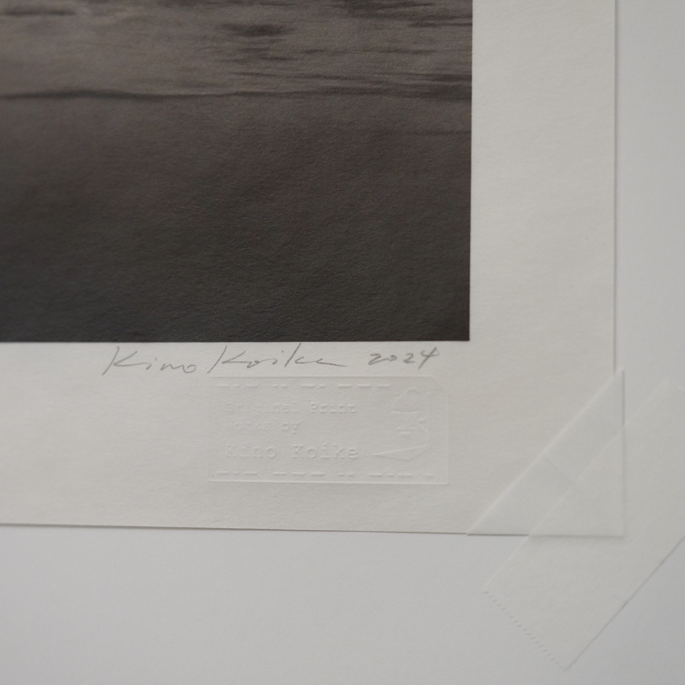 Decaying Slope Block #6 by Kino Koike, a vertical limited-edition artwork featuring natural landscapes and photographic and realistic imagery, in grey tones.