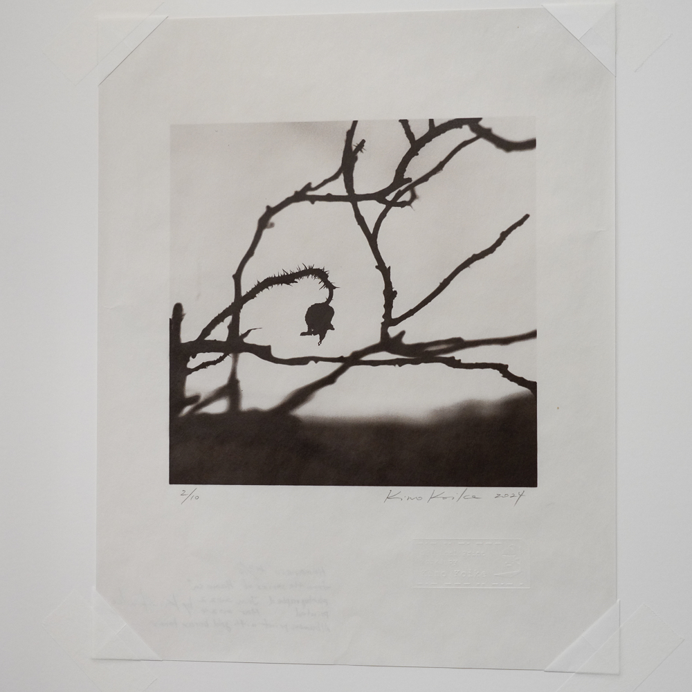 Hamanasu (Rugosa Rose) #3 by Kino Koike, a vertical limited-edition artwork featuring thorny branches and a hanging rose hip, in black and white and grey tones.