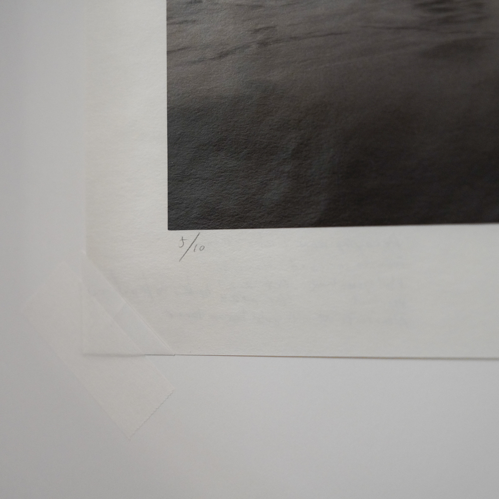 Decaying Slope Block #6 by Kino Koike, a vertical limited-edition artwork featuring natural landscapes and photographic and realistic imagery, in grey tones.