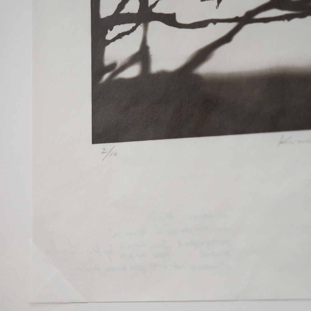 Hamanasu (Rugosa Rose) #3 by Kino Koike, a vertical limited-edition artwork featuring thorny branches and a hanging rose hip, in black and white and grey tones.
