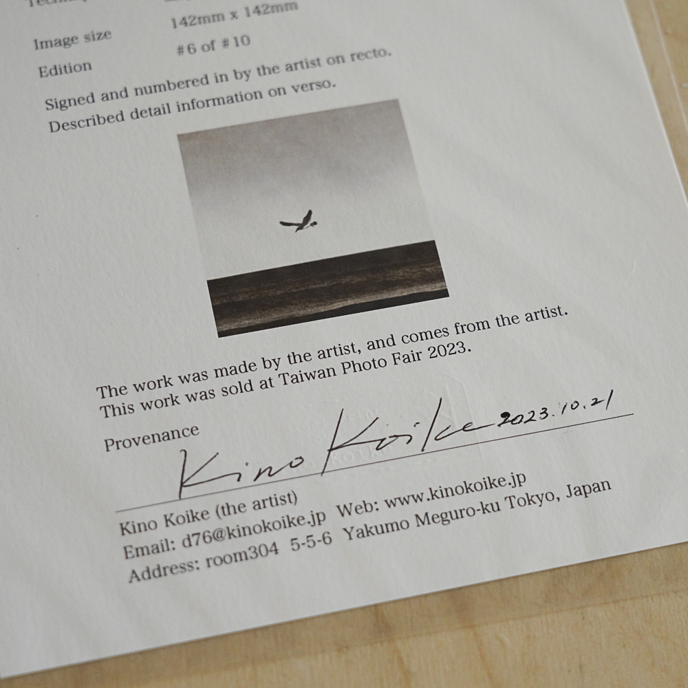 Flight #8 by Kino Koike, a vertical limited-edition artwork featuring natural landscapes and photographic and realistic imagery, in black and white and grey tones.