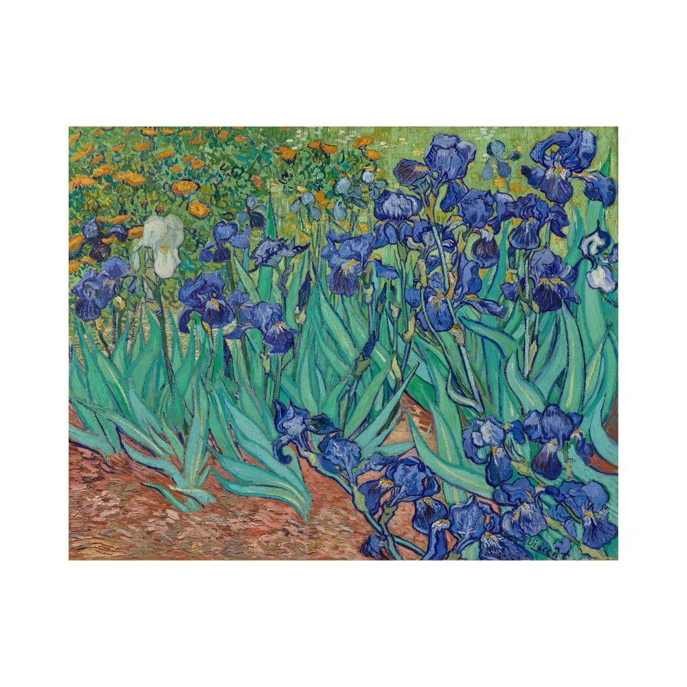 梵谷 Van Gogh|Irises 1899 — 照片 1