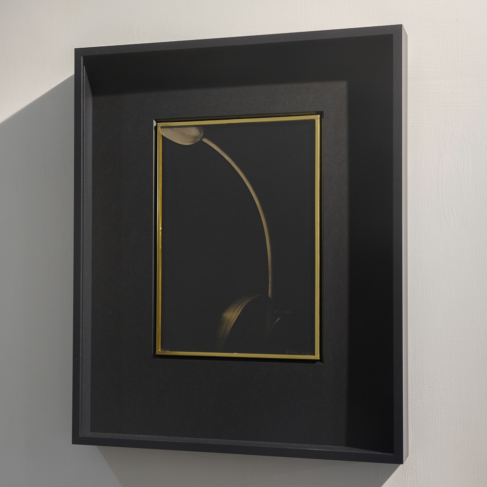 Light and breath - Bubble on the Wave #5 · Glass wet plate by Kino Koike, a horizontal limited-edition artwork featuring flowers and still life and natural landscapes, in black and white tones.