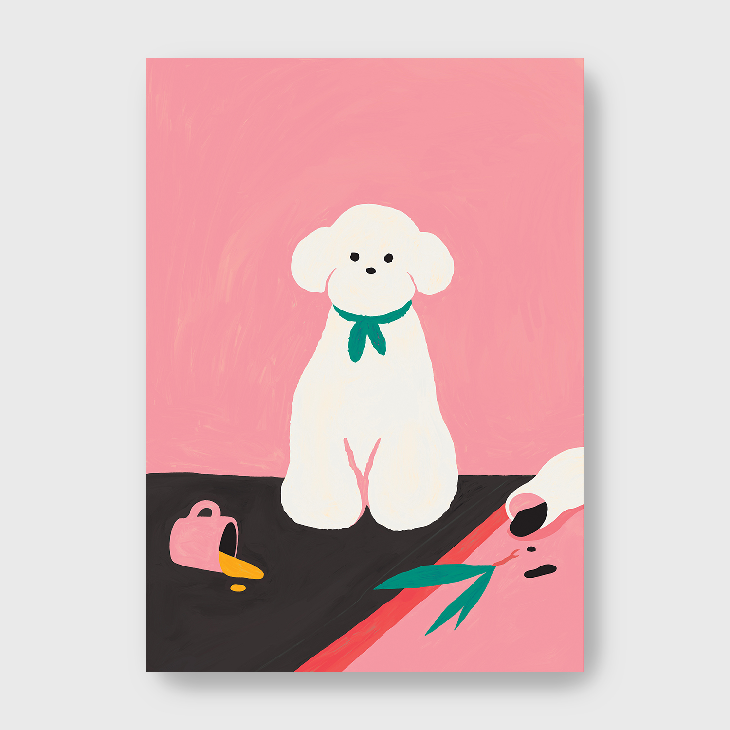 Bichon (Bichon Frize) — Photo 1