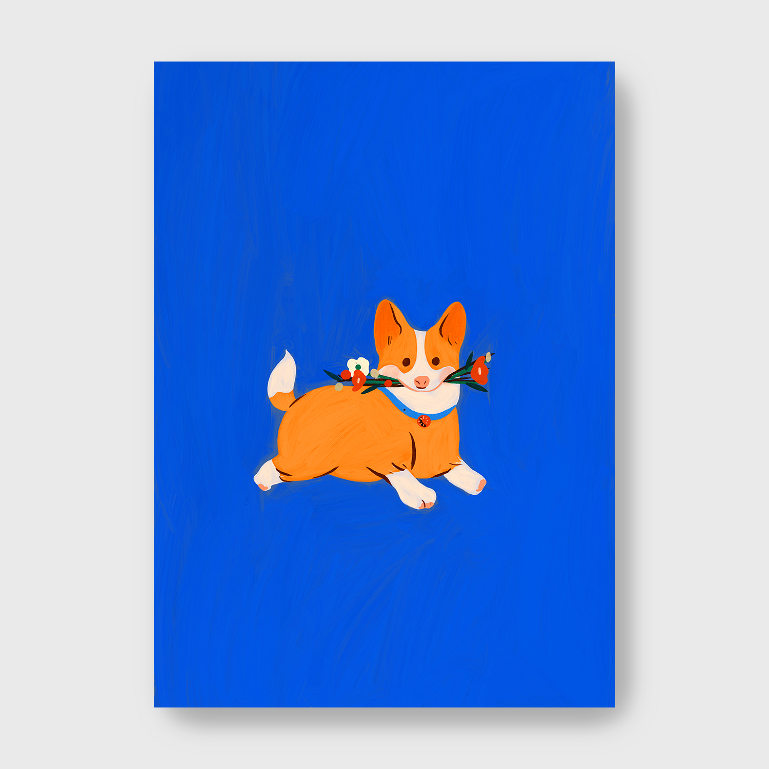 Erdy | corgi(柯基犬) — 照片 1