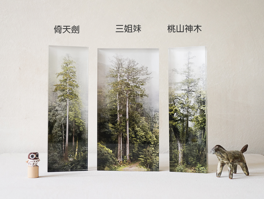 theTreePorjects|台灣巨木 - 森林紙鎮 — 照片 1