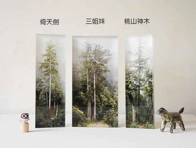 Taiwan Giant Tree - Forest Paperweights by The Tree Projects, an artist-designed object featuring natural landscapes and photographic and realistic imagery, in green tones. Cover image.