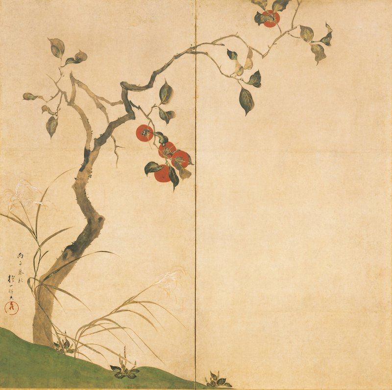 Rinpai · Hakuichi Sakai - Persimmon Screen by Rinpa School, a square art print featuring natural landscapes and Japanese print imagery, in cream / brown tones. Artwork image.
