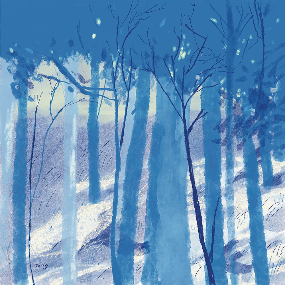 December by Tong Lin, a square art print featuring natural landscapes and illustration, in blue tones. Artwork image.
