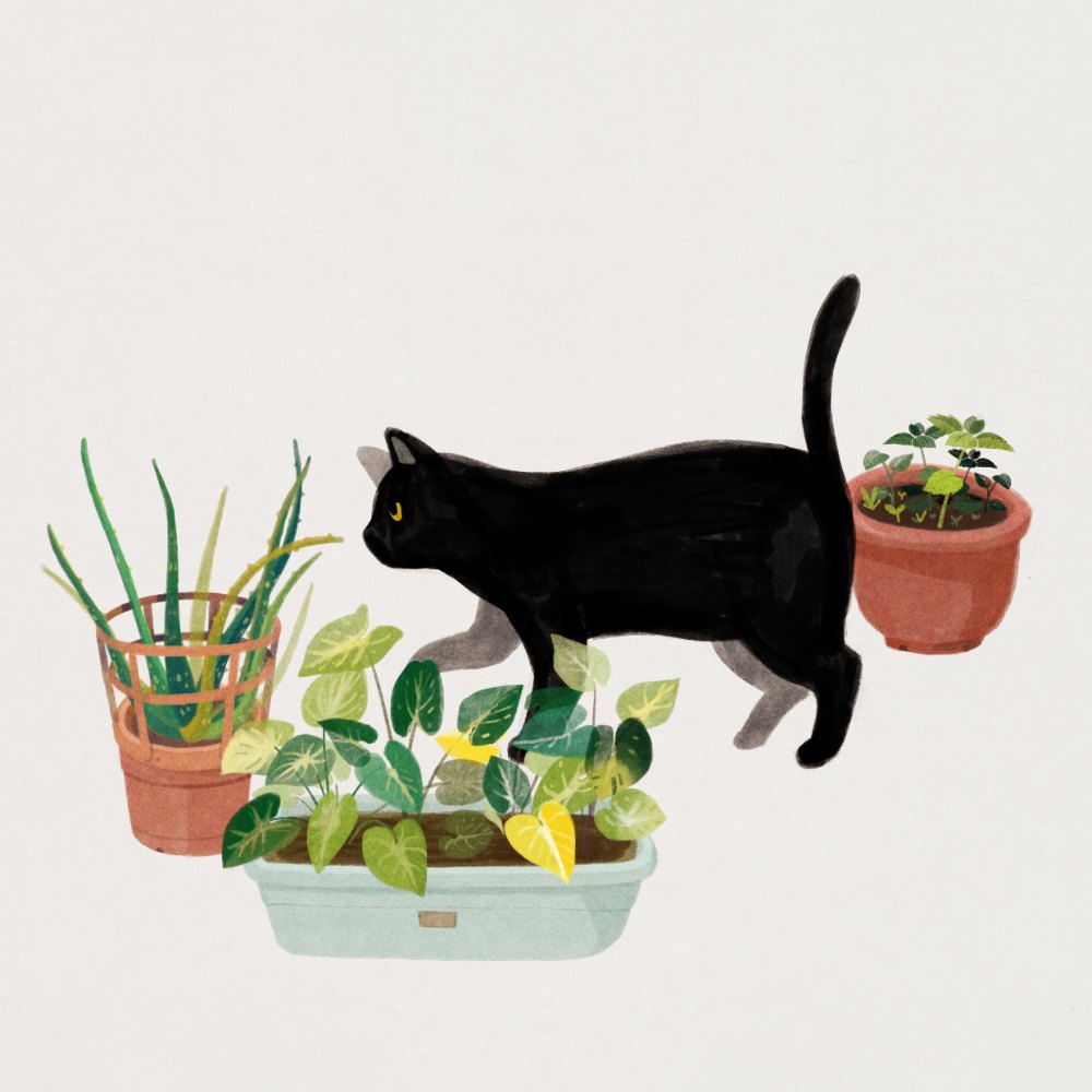 Pot Cats · Black Cats and Plants by ABOO YANG, a square art print featuring animals, in black and white and cream / brown tones. Artwork image.