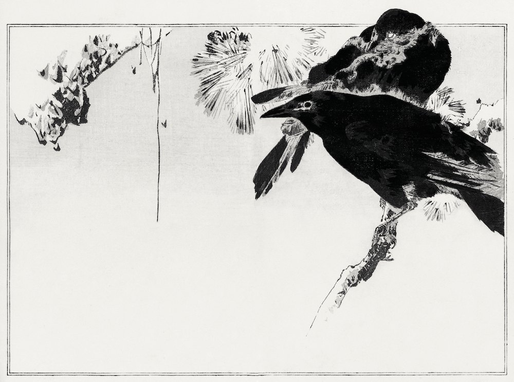 渡辺省亭《日本花鳥畫作-兩隻烏鴉》：黑白色調，動物題材，橫幅藝術掛畫。 作品原圖。