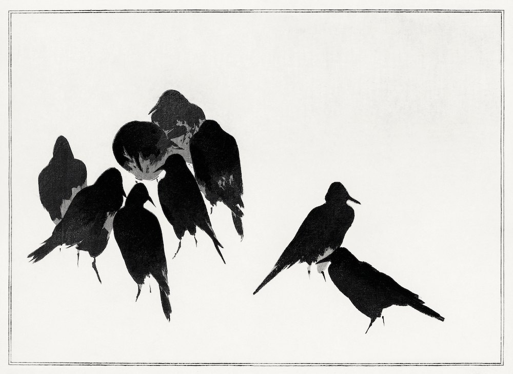 渡辺省亭《日本花鳥畫作-群聚的烏鴉》：黑白色調，動物題材，橫幅藝術掛畫。 作品原圖。