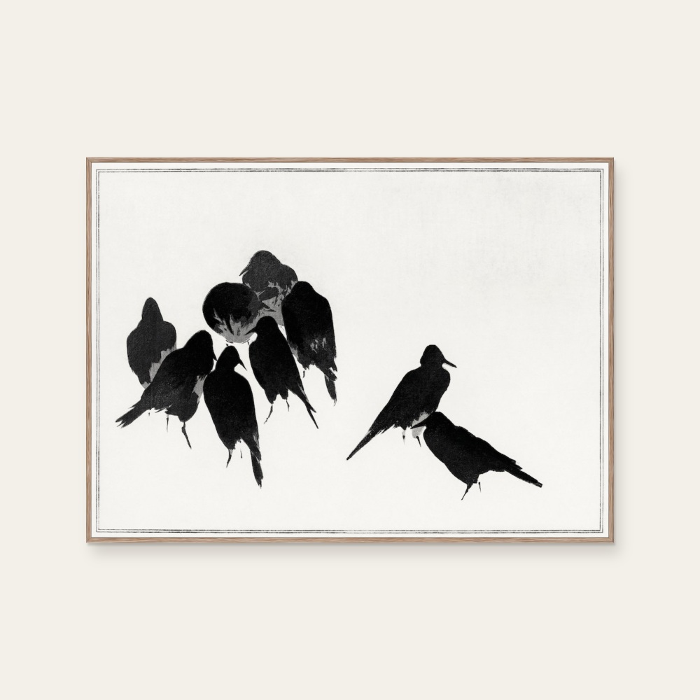 渡辺省亭《日本花鳥畫作-群聚的烏鴉》：黑白色調，動物題材，橫幅藝術掛畫。