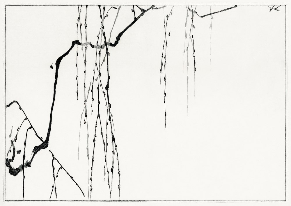 Hanging Branches by Watanabe Seitei, a horizontal art print featuring hanging branches and twigs, in black and white tones. Artwork image.