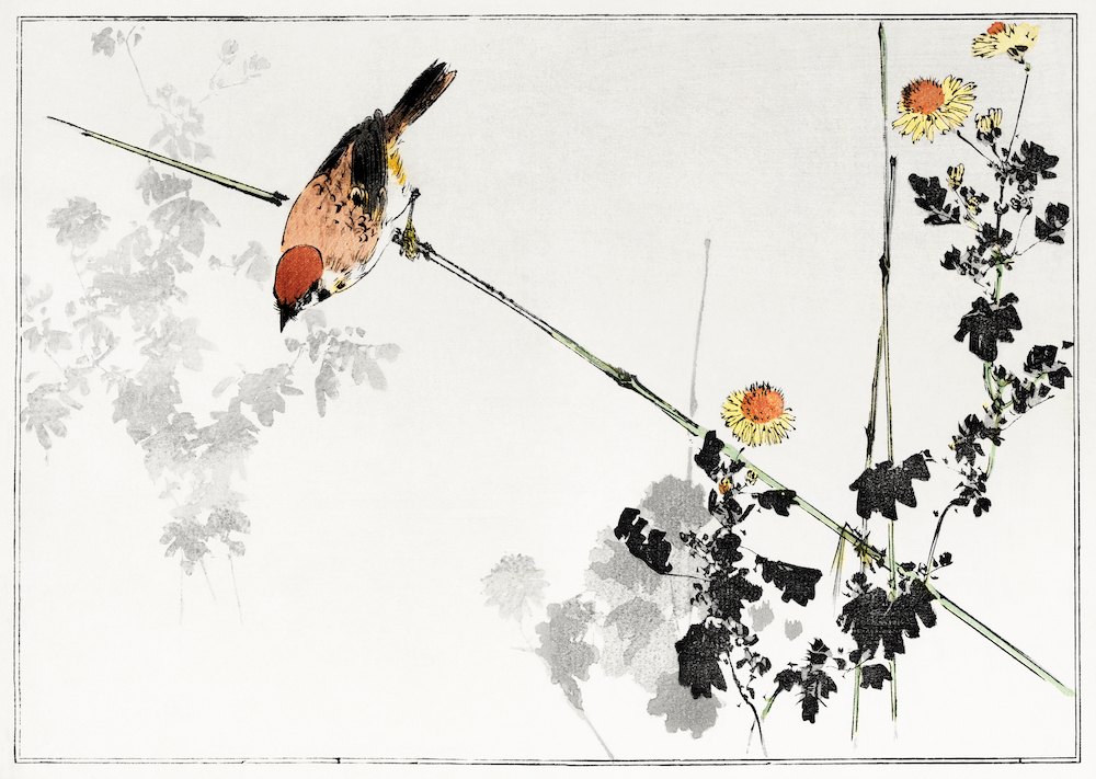 渡辺省亭《日本花鳥畫作-樹上的麻雀》：黑白色調，動物題材，橫幅藝術掛畫。 作品原圖。